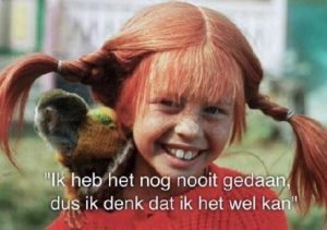 Er voor gaan