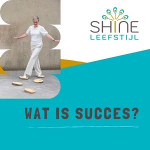 wat is succes