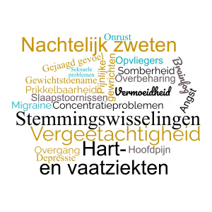 woordwolk overgang en werk