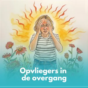 overgang opvliegers