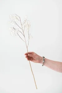 overgang en cortisol