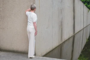 Stemmingswisselingen overgang